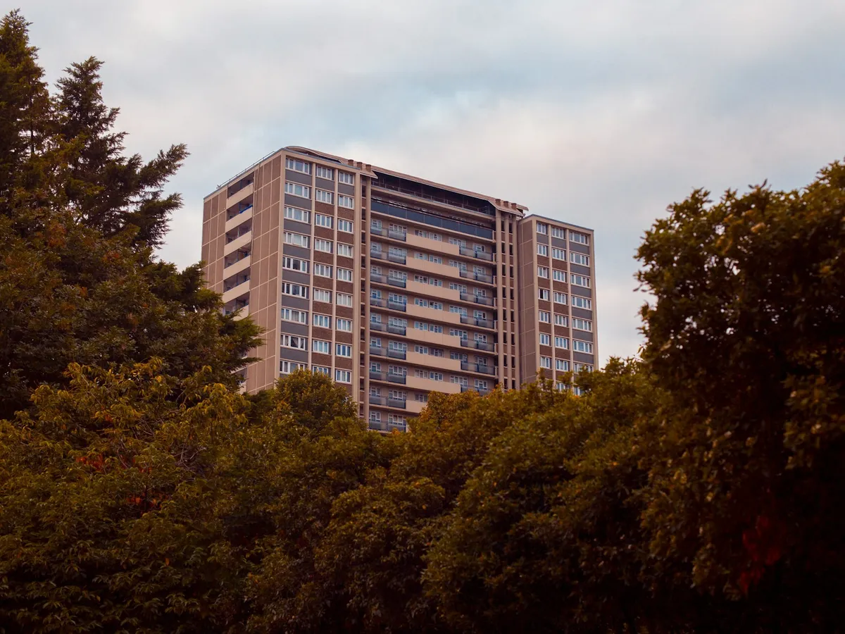 Council block behind trees
